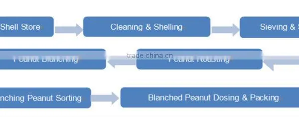 Best Selling High Praised Best Selling Peanut Roasting Blanching Line photo-6