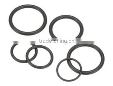 PerkinElmer Torch O-Rings