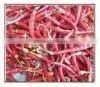 Fresh Dried Red Chilli