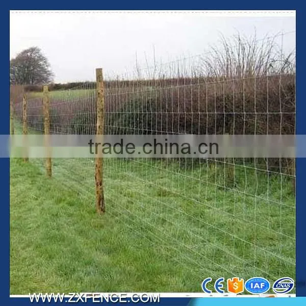 Cattle Horse Fence Manufacture of Galvanized Horse Fence photo-4