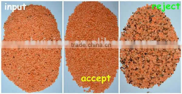 5000+pixel 2016 Pepper Color Sorter With Fast Detection and High Identification Rate,pepper Grading Machine photo-3
