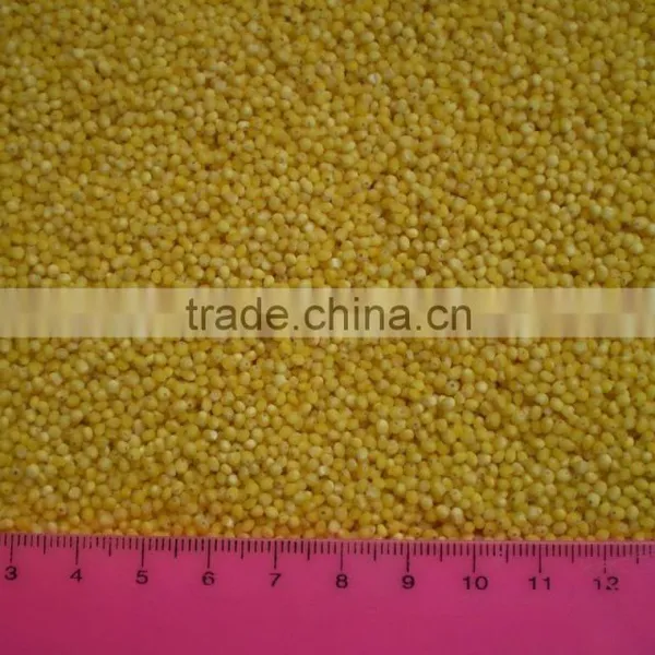 Hulled Millet
