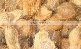Husked Coconuts From Tuticorin Port photo-2