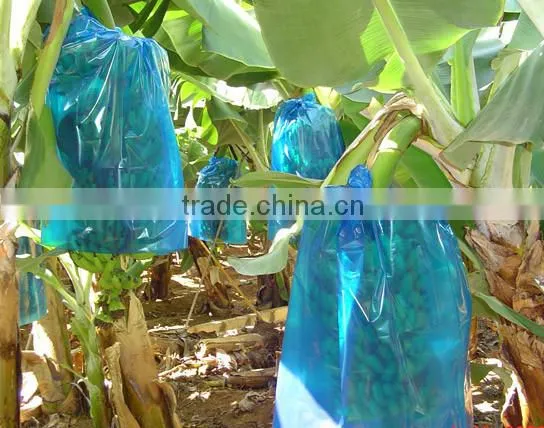Banana Ripening Bag