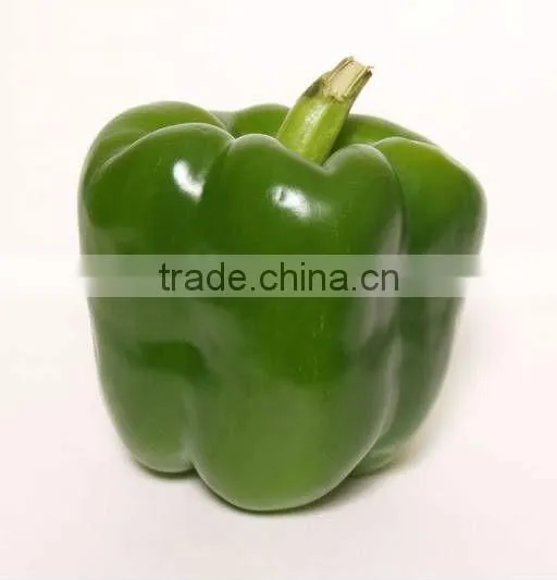 Color Pepper ( GREEN - YELLOW - RED ) photo-6