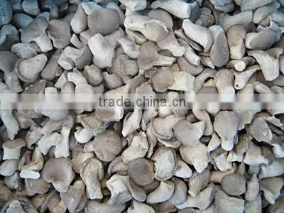 High Quality Frozen IQF Small Oyster Mushroom