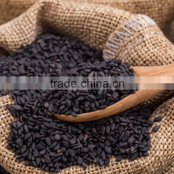 Roasted Sesame Seeds White and Black High Quality