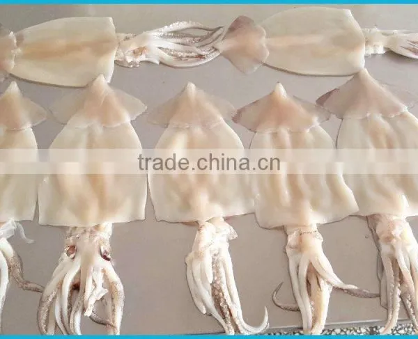 SQ-400 Fish Skin Remover, Fish Skin Machine/Peeling Machine of Squid Plate, Squid Skin Peeling Machine With CE 304 photo-6