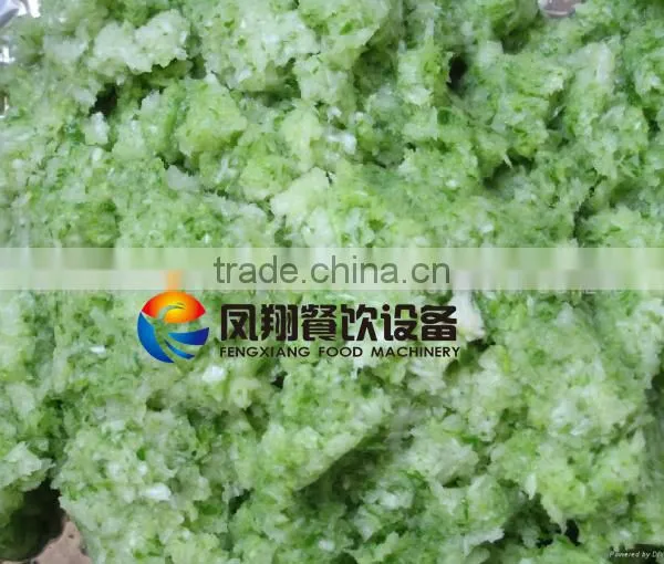 Indrustrial Garlic Grinder, Shallot Crusher Machine, Ginger Presses Machine photo-3