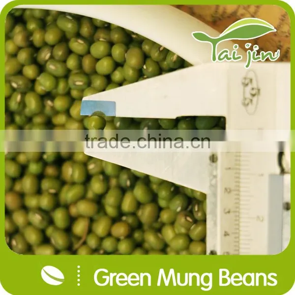 2015 New Crop Food Grade Green Mung Bean From China photo-4