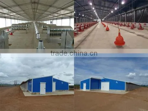 Poultry House for Chicken Farm