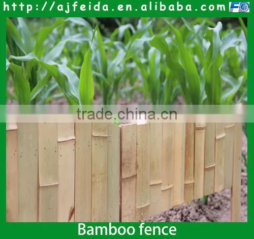 FD70301 Newest Styles of Bamboo Fence photo-2