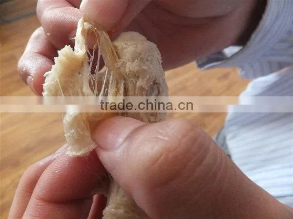 Wholesale High-ranking Fiber Soya Protein Machine photo-4