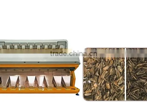 ZRWS 5 T/h High Capacity Sunflower Seeds Processing Machine photo-2