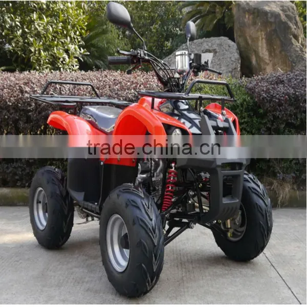 110/250CC Automatic ATV for Sales photo-2