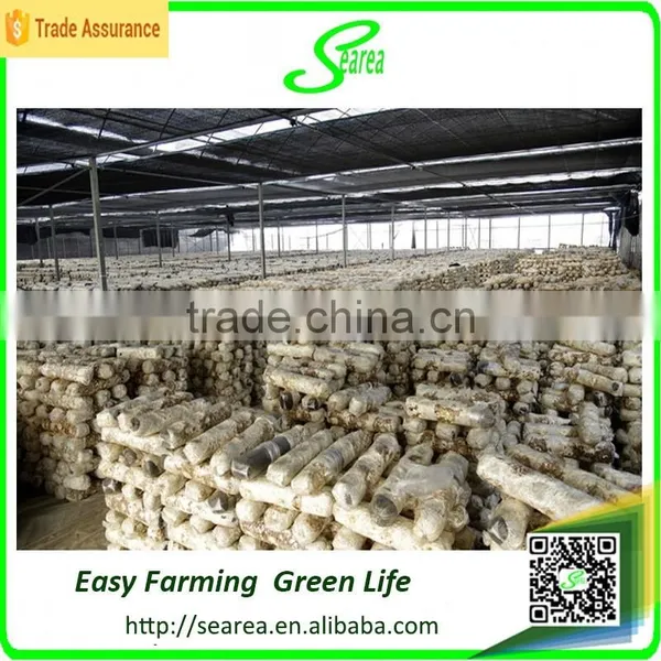 2016 Hot Sale Greenhouse for Mushroom photo-3