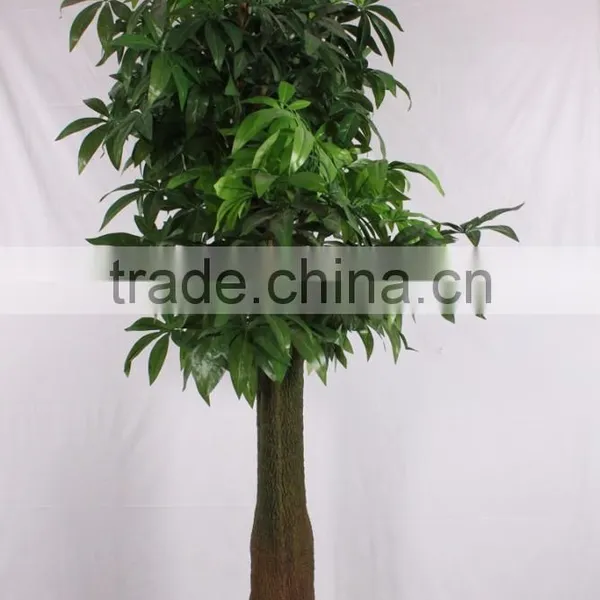 China Hot Sale Evergreen Fake Money Tree ,artificial Pachira photo-2