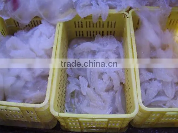 Salted Jellyfish photo-2