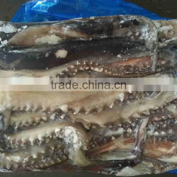 High Quality Wholesale Frozen Vietnam Squid With Best Price photo-3