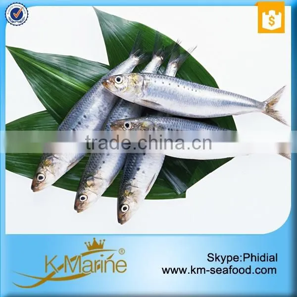 Frozen Wholesale Sardines Seafood Fish photo-4