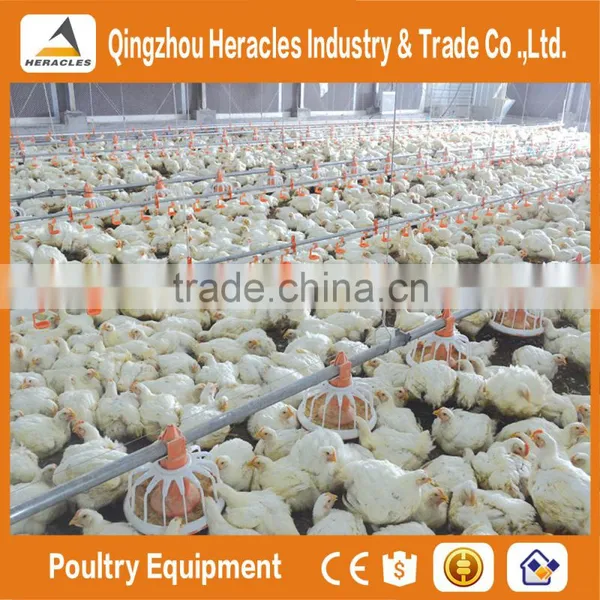 Heracles Factory Price Poultry Feeders and Drinkers photo-6