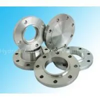 Seals Flanges