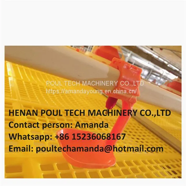 Mozambique Poultry Farm Equipment Plastic Saltted Floor System for Broiler Chicken & Floor Raising System With Automatic Nipple Drinker System & Feeding Pan System in Chicken Shed photo-2