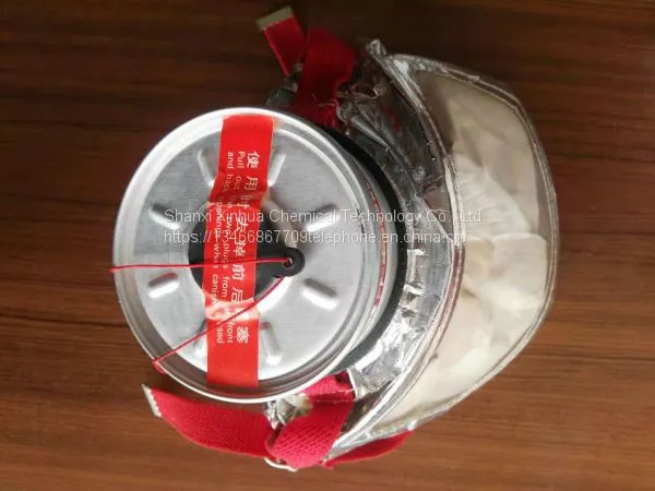 TZL30 Fire Escape Gas Mask