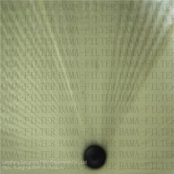 BANGMAO Replacement PARKER Hydraulic Oil Filter 938785Q Filters Supplier photo-2