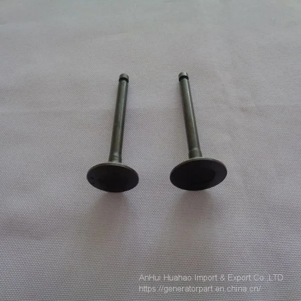 EF2600 Generator Intake and Exhaust Valve photo-3