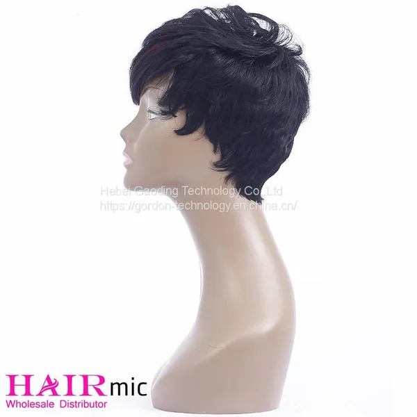 Short Wig With Long Bangs Natrual Color Full Lace Human Hair Wig photo-4