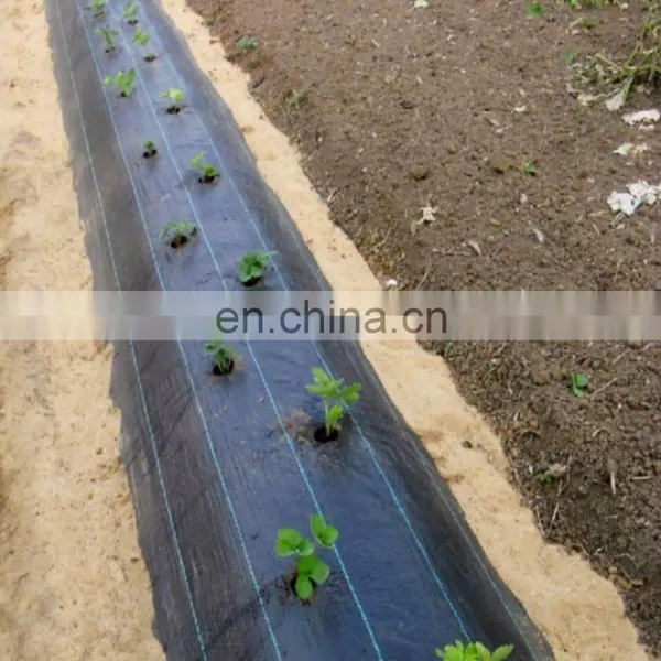 Customized pp Woven Ground Cover for Garden photo-4