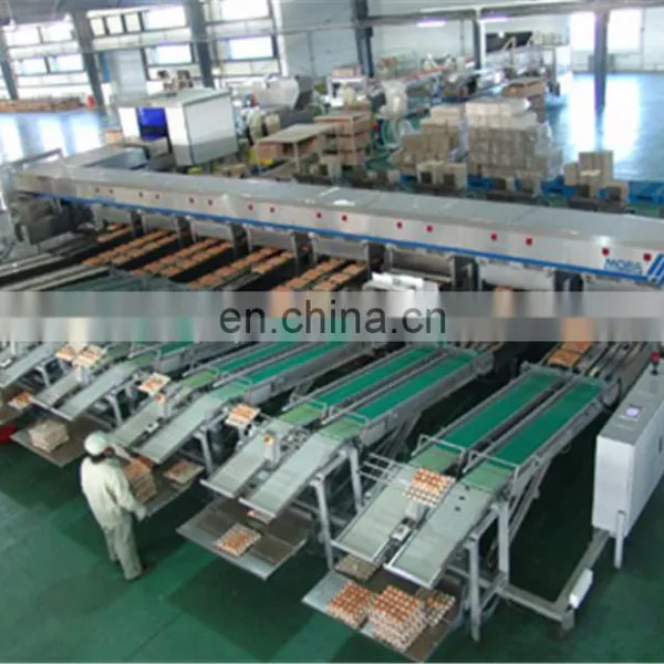 Commercial Egg Cleaning and Sorting Machine photo-5