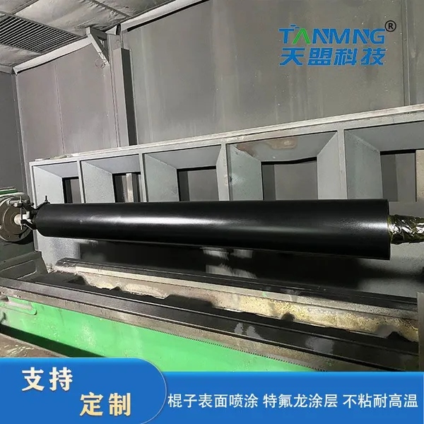 The Teflon Roller photo-3