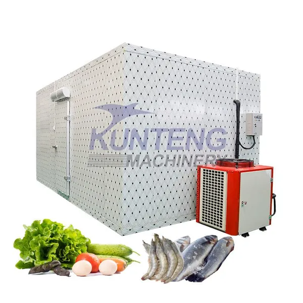 Prefabricated Frozen Room Cold Storage Refrigerator Warehouse Walk in Freezers Cold Room