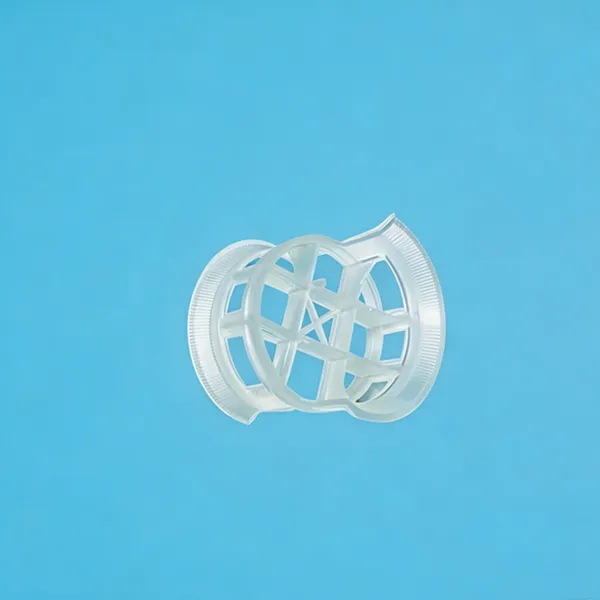 Pingxiang Daier Plastic Conjugate Ring for Chemical Absorption & Scrubbing