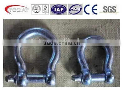 European Standard Galvanized D Shackle and Bow Shackle photo-2