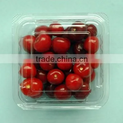 PET Plastic Transparent Fruit Packaging Box for Cherry