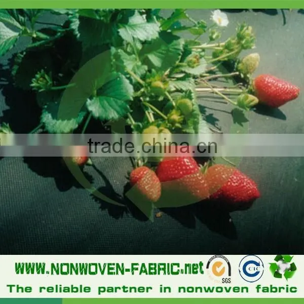 Agriculture pp Spunbond Nonwoven Fabric /agriculture Ground Cover for Plant,flower,fruit Protection photo-2