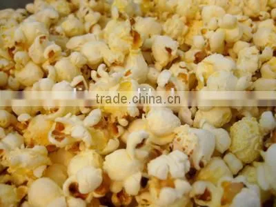 Puffed Grain Machine photo-6