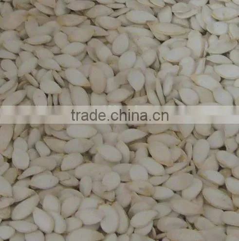 GWS Snow White Pumpkin Seeds Shine Skin Pumpkin Seeds Best Pumpkin Seeds Recipe photo-3