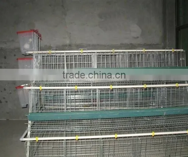 Chicken Cage for Sale photo-4