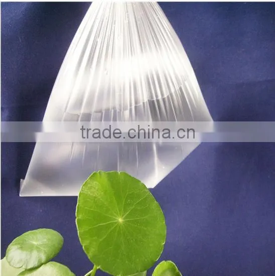 Transparent Food Packaging PLA Bags photo-2