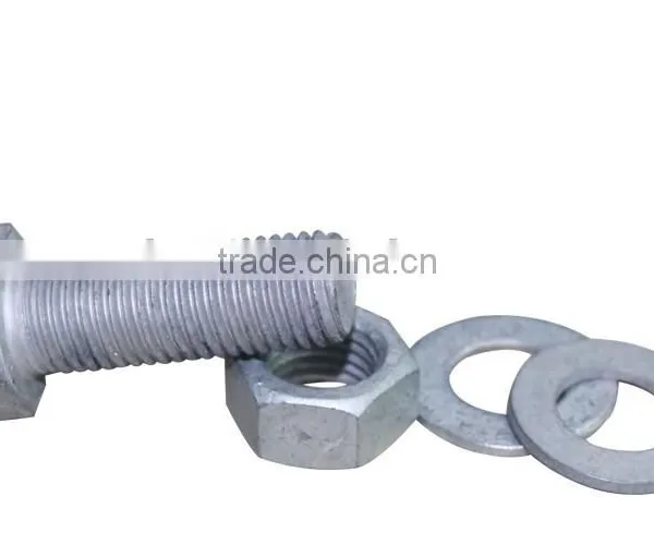 Hot Dip Galvanized Bolt/hot Dip Galvanized Bolt and Nut photo-3