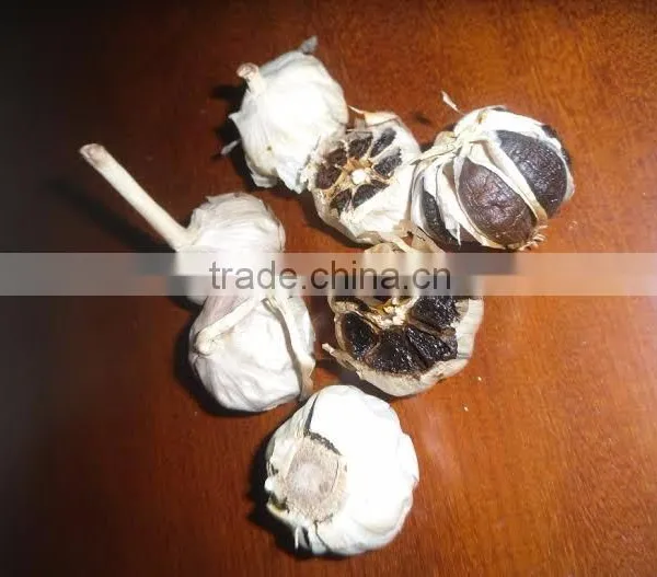 Vietnam Black Gralic (skype: Davis.thong)