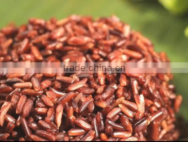 RICE BROWN ORGANIC