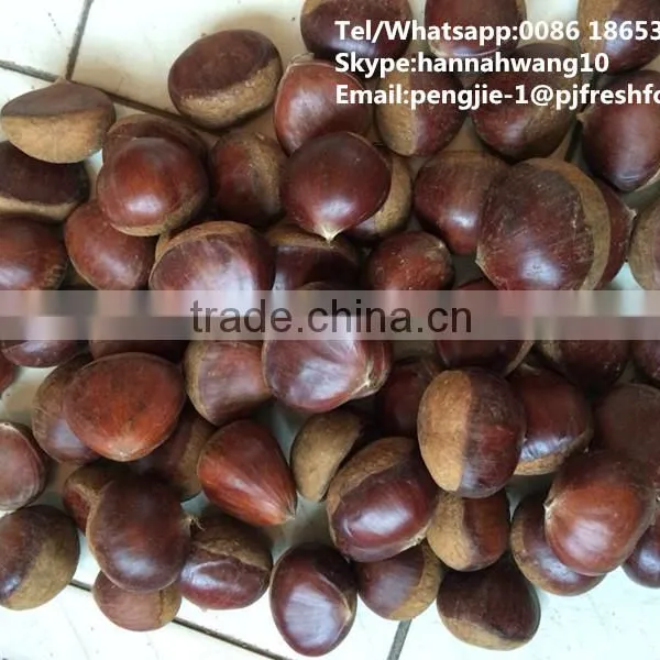 2016 New Crop Fresh Chestnuts HACCP Gap Kosher EU Standard