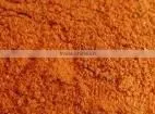 Indian Curry Powder Hot