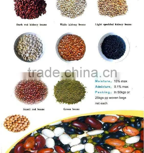 Kidney Beans