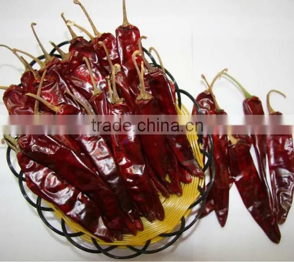 Chinese Dried Chili/Chili Peppers,Dried Jinta Chili